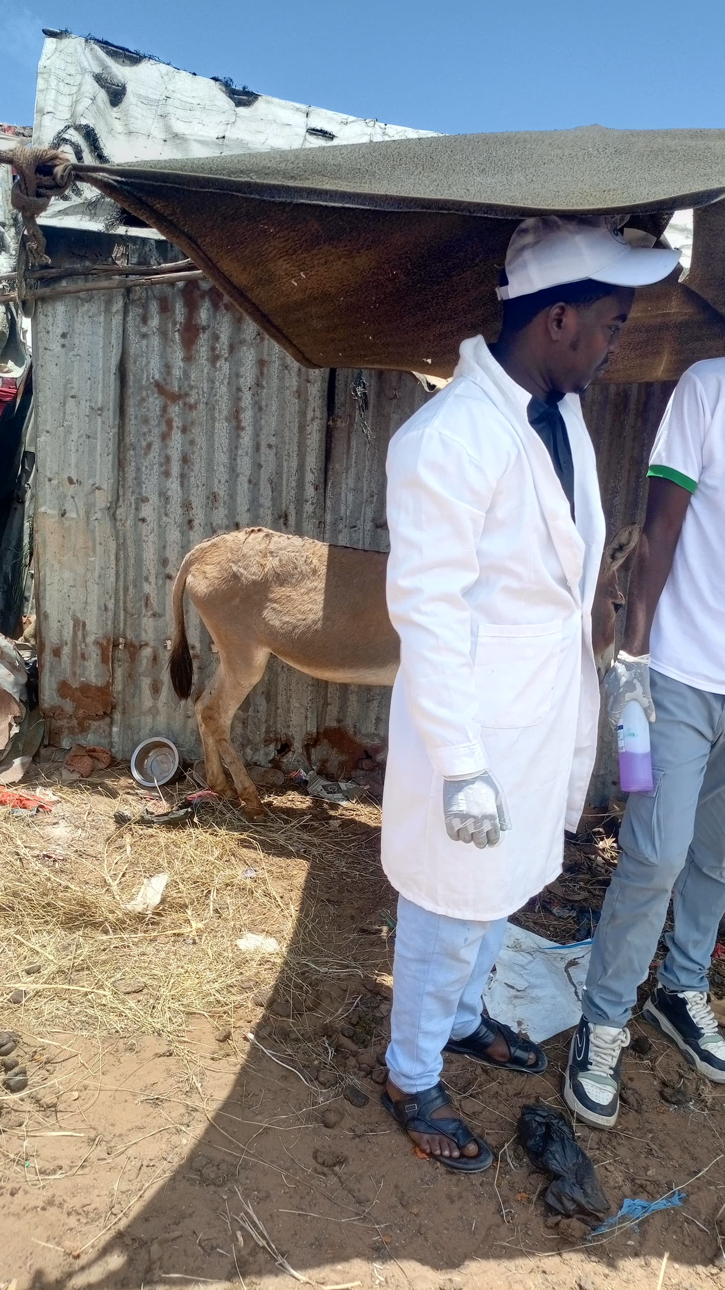 Working Animal Support - Afmadow