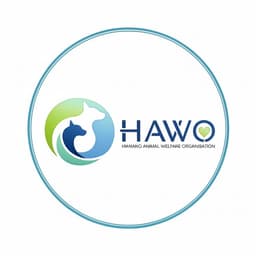 Hanano Logo