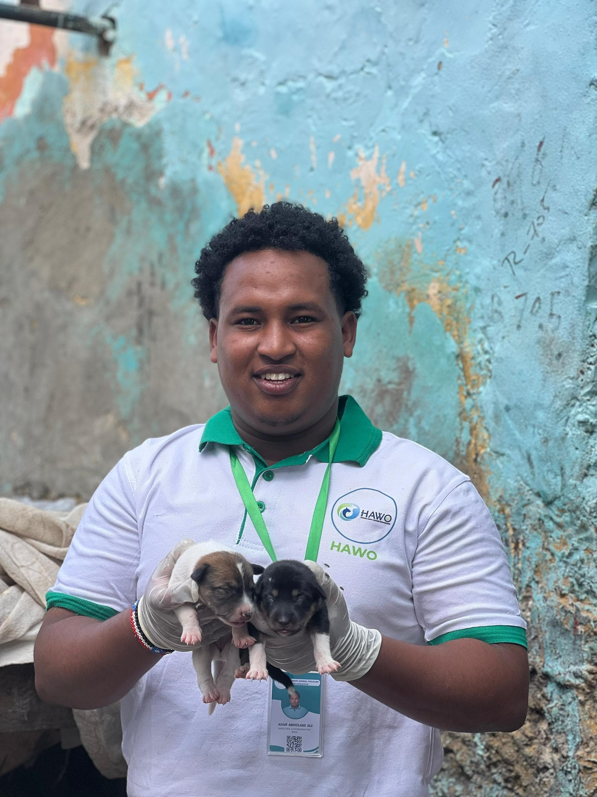 Rescue and Shelter Operations - HAWO Program
