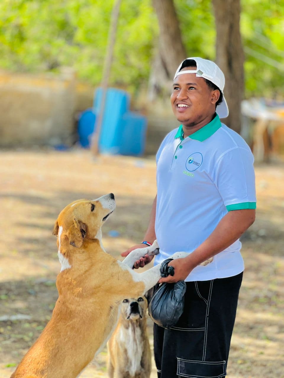 Street Dog Care Program - Hodan District